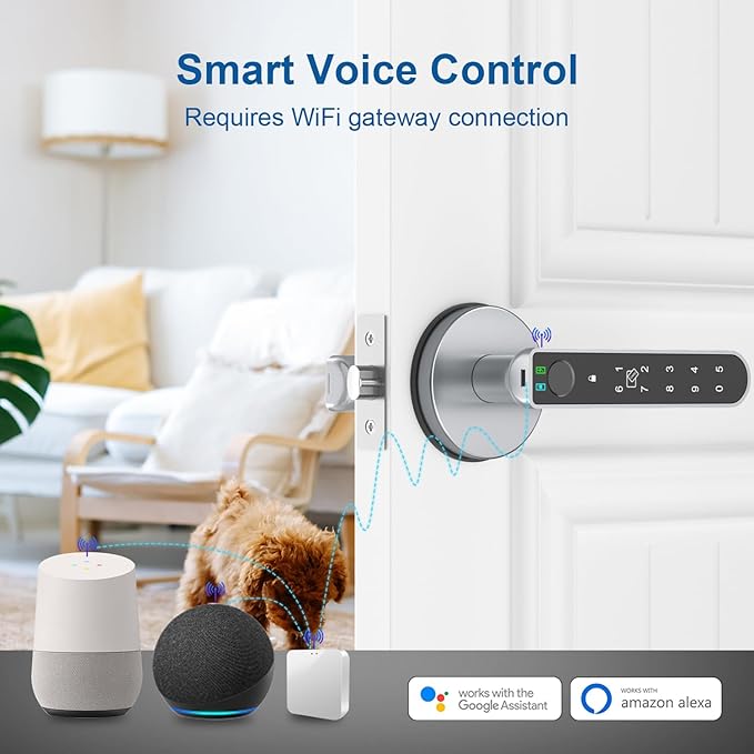 Fingerprint Door Lock, Finger Print Door Knobs Thumbprint Door Knob with App Control/Fingerprints/IC Cards/Codes/Keys, Smart Lock for Bedroom Home Apartment Grey