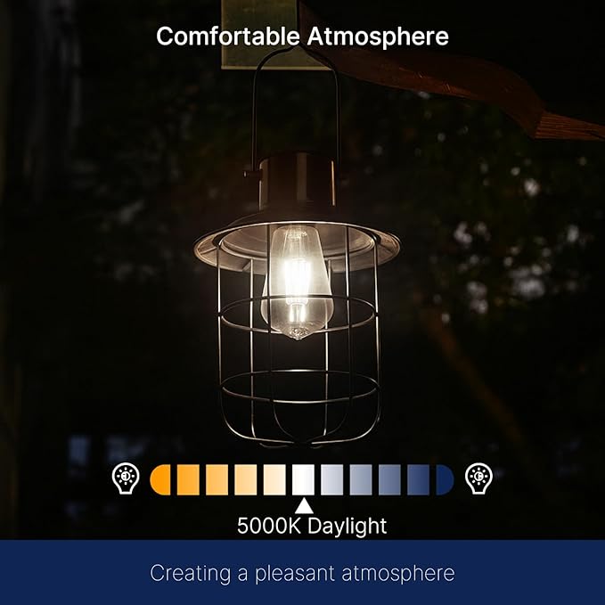 FLSNT Dusk to Dawn Outdoor Sensor ST19 LED Edison Bulb, 5000K Daylight, 8W (100W Eqv.), 1400LM,Vintage Filament E26 Base, Auto On/Off Photocell Automatic for Energy-Efficient Outdoor Lighting, 4 Pack