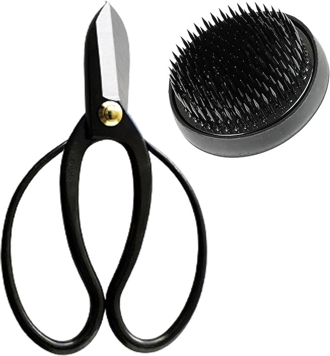 Wazakura Made in Japan Ikebana Tool Kit - Koryu Scissors + Black Kenzan Flower Holder, Japanese Floral Arrangement Set, Florist Shears and Pin Frog Gift Box Set - Koryu and Black Kenzan 2.4" (61mm)