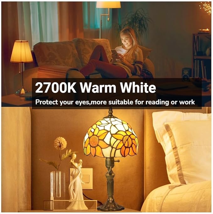 VVH 6-Pack 3 Way Bulb 30 70 100W Equivalent Light Bulb,Warm White,Three Way A19 LED Bulb E26 Base for Bedroom,Living Room,Kitchen