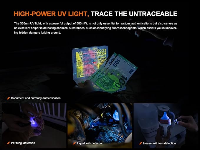 Fenix E06R 700 Lumen USB Rechargeable LED Keychain Flashlight/UV/Blacklight with EdisonBright Accessory case Bundle (Grey)