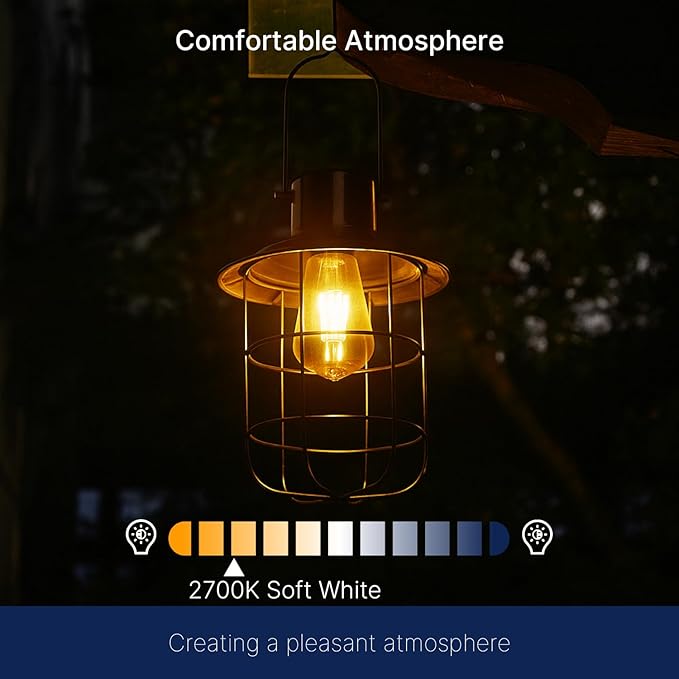 FLSNT Dusk to Dawn Outdoor Sensor ST19 LED Light Bulb, 8W (100W Eqv.), 1400LM,Vintage Filament E26 Base, Auto On/Off Photocell Automatic for Energy-Efficient Outdoor Lighting, 2700K Soft White, 4 Pack