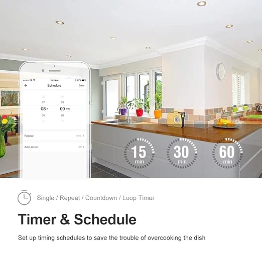 30A Hight Power WiFi Wireless Smart Switch, DIY Module for Smart Home Automation, ewelink APP Remote Control, Timer, Compatible with Alexa & Google Home