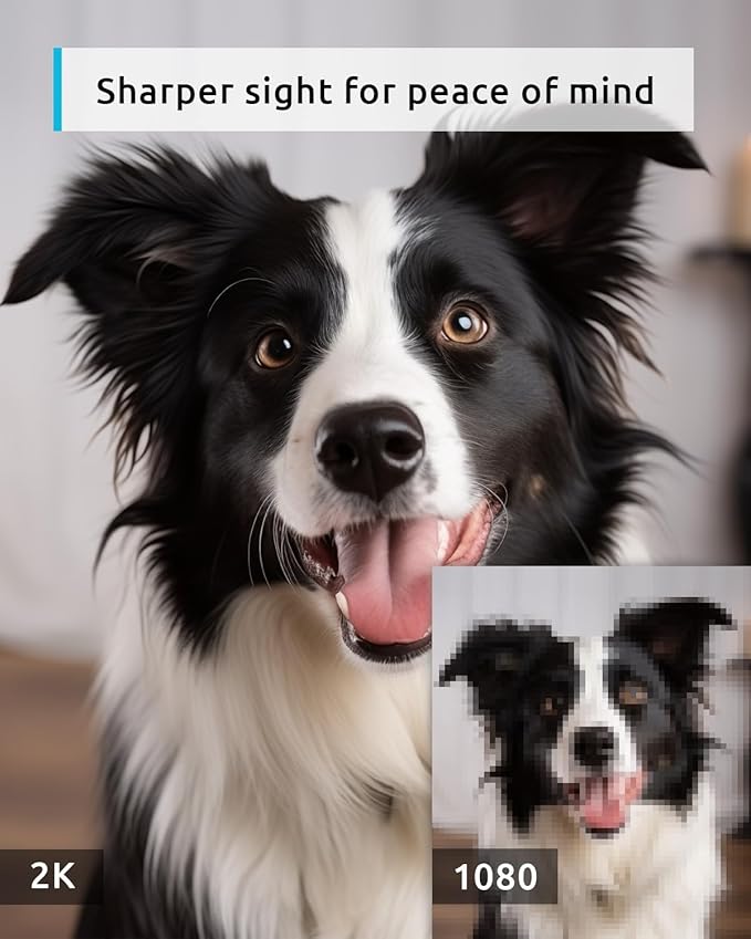 blurams Pet Camera 2K, 360° Dog Camera with Phone App, PTZ Indoor Cameras for Home Security Indoor, 2-Way Audio, Motion Tracking, Color/IR Night Vision, Siren, Cloud&SD(2.4GHz Only)