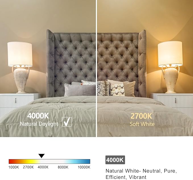 4 PCS Dimmable Vintage LED Edison Bulbs, 6W Equivalent 60 Watt, Natural White 4000K, Antique Flexible Spiral LED Filament Light Bulb, ST58 (ST19), 600 Lumens, E26 Base, Clear Plastic