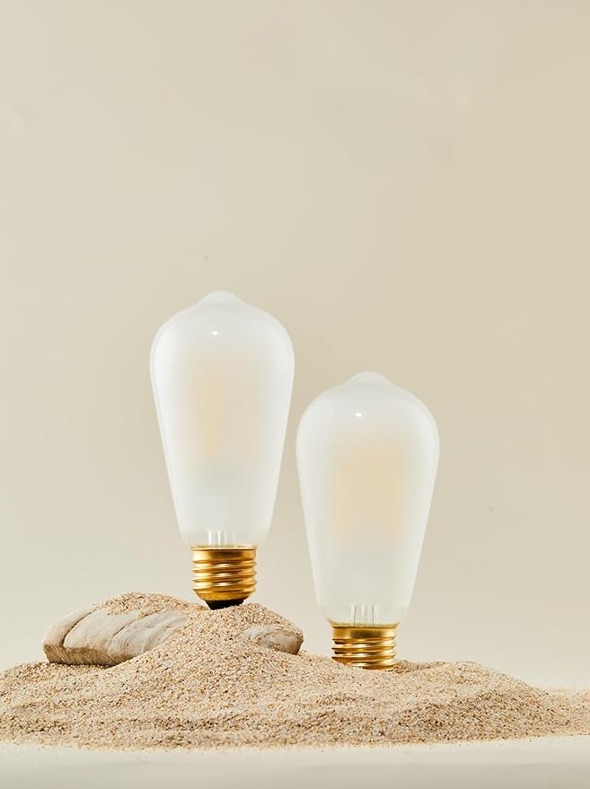 E26 Frosted LED Edison Bulbs, 6W Equivalent 60W, Warm White 2700K,600LM,AC120V, ST58 Dimmable Antique LED Filament Bulbs with 90+ CRI,Pack of 6 (6W=60W Warm White)