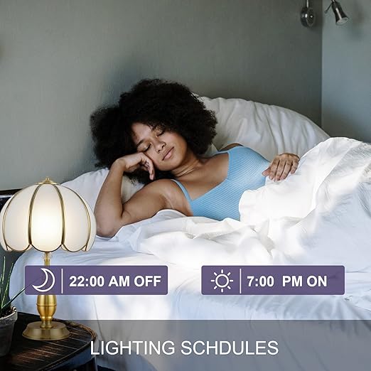 New One 2 Pack 2.4G WiFi Dimmable Smart Plug, Smart Outlet, Dimmer Plug, Alexa, Google Assistant, No Hub Required