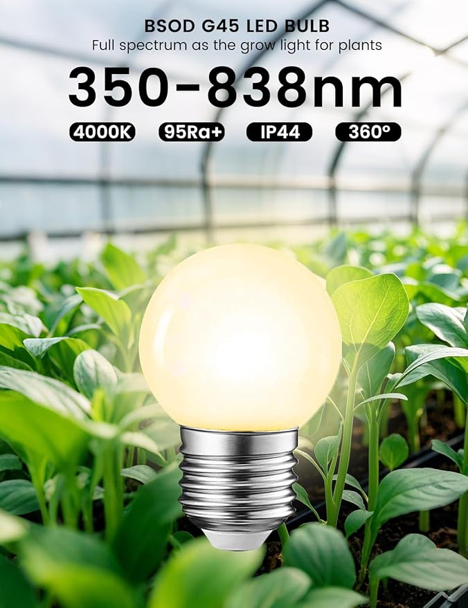 Full Spectrum Light Bulb, Grow Light Bulbs G45 Small Lightbulbs E26 LED White Bulb 5W Eq 40W Sunlight Night Appliance Bulb for Home, Plant, Freezer, Lamp (2 Natural White Bulbs)