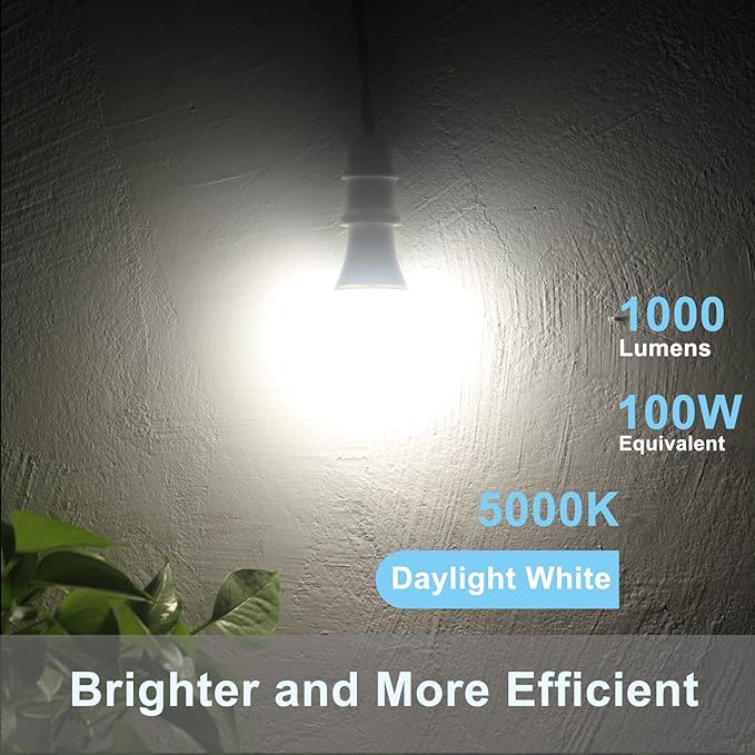 Dusk to Dawn Light Bulbs 1000 Lumen, Daylight, LED 12W, A19 E26, 4-Pack, HQ-H024