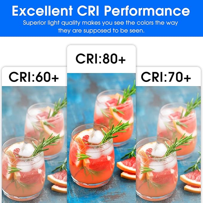 Energetic A19 LED Bulb 60W Equivalent, 5000K Daylight LED Light Bulbs, E26 Standard Base, 750LM, Non-Dimmable, UL Listed, 12 Pack