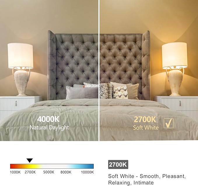 6 PCS Dimmable Vintage LED Edison Bulbs, 6W Equivalent 60 Watt, Warm White 2700K, Antique Flexible Spiral LED Filament Light Bulb, ST58 (ST19), 600 Lumens, E26 Base, Clear Plastic