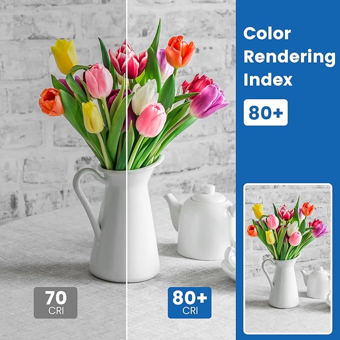 A19 24-Pack LED Light Bulbs, E26 Base 75W Equivalent 950lumens 2700K Warm Soft White Light, Non-Dimmable 9W 25000Hrs Indoor (A19 Count of 24)