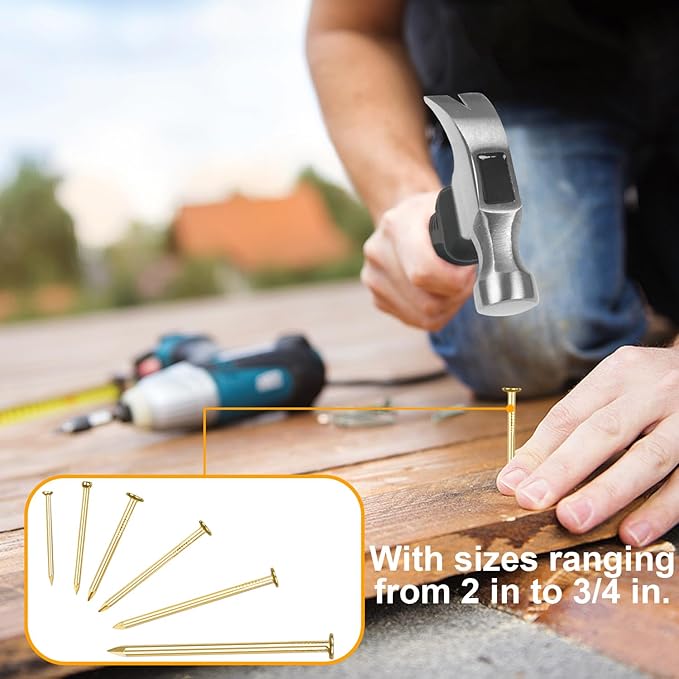 KURUI Gold Picture Hanging Nails Assortment Kit, 700 Pcs Wall Hanging Set for Frame Art Photo, 6 Sizes Brass Small Framing Nails Assorted Kit