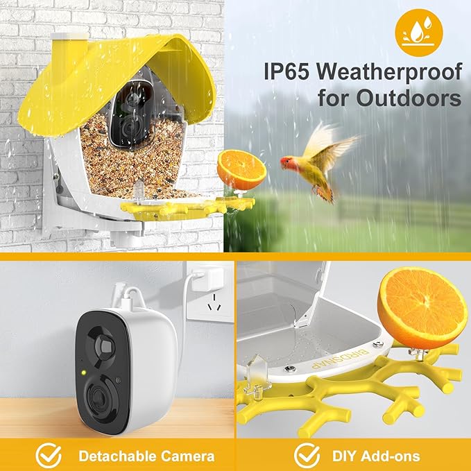 birdsnap® MON - Bird Feeder with Camera, 2K Detachable Video Bird Feeder Live with 32GB Card Fruit Fork, AI Identify Feather Species, Auto Record in Backyard, Ideal Gift for Birds Lover