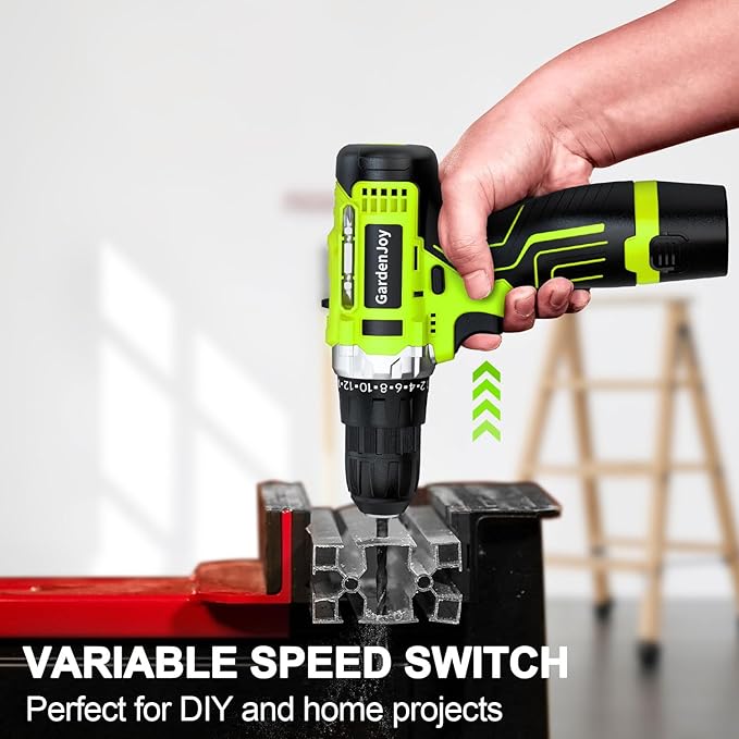 GardenJoy Cordless Power Drill Set: 12V Electric Drill with Battery and Charger, 65pcs Acessories, 3/8"Keyless Chuck, 2 Variable Speed, 24+1 Position, Compact Drill Driver Kit for Home & DIY Project