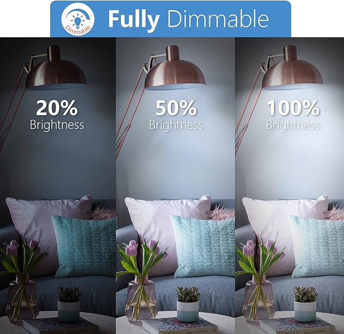 Kasonic Dimmable A19 LED Light Bulb, 60W Equivalent, Efficient 9W, UL Listed, 830 Lumens, E26 Standard Base, 5000K Daylight, 6 Pack