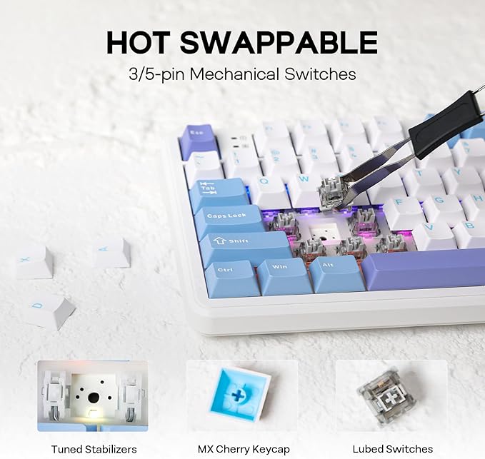 EPOMAKER Aula F108 Wireless Gaming Keyboard, Full Size Mechanical Keyboard with 4000mAh Battery, 108 Hot-Swappable and Programmable Keys, RGB Backlight, for Mac/PC/Android (White&Blue)