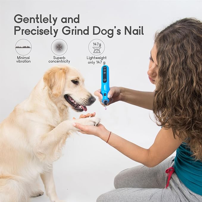 Cordless Rotary Tool Kit, 3.7V Wood Carving Tools with 5 Speed and 62 Accessories, Multi-Purpose Mini Rotary Tool for Sanding, Cutting, Engraving, Drilling, Polishing, DIY Creations, Blue