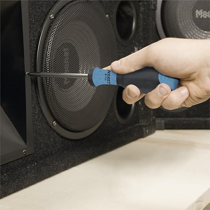 HAZET Screwdriver Set 810SPC/6 I 6-Piece Set with Non-Slip 3-Component Handle for High Force Transmission I Matt Chrome-Plated Surface, 4x Slotted Profile, 2x Phillips Profile