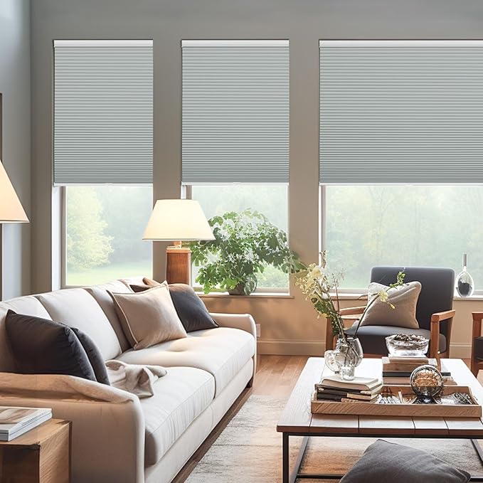 Changshade Cordless Cellular Shades, Blackout Honeycomb Shades for Windows, Pull Down Pleated Blinds, Easy to Install for Indoor Windows and French Doors,27" W x 48" H, Grey