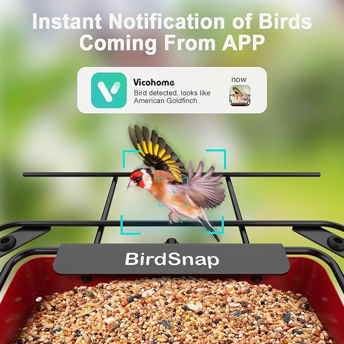 birdsnap® APS - Metal Bird Feeder with Camera Solar Panel 32GB Card, AI Identify 10000+ Birds Camera Feeder, 3 DIY Add-ons, 2K HD Live View Auto Record Bird Video, Ideal Gift for Birds Lover