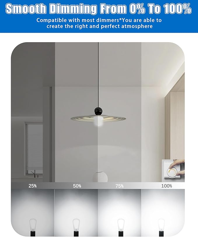 Mastery Mart 24 Pack Vintage LED Light Bulb 5000K Daylight White, Dimmable, 5.5W (60 Watt Equivalent), ST21/ ST64 Clear Glass Antique Edison Style, 500LM E26 Decorative Filament Bulb