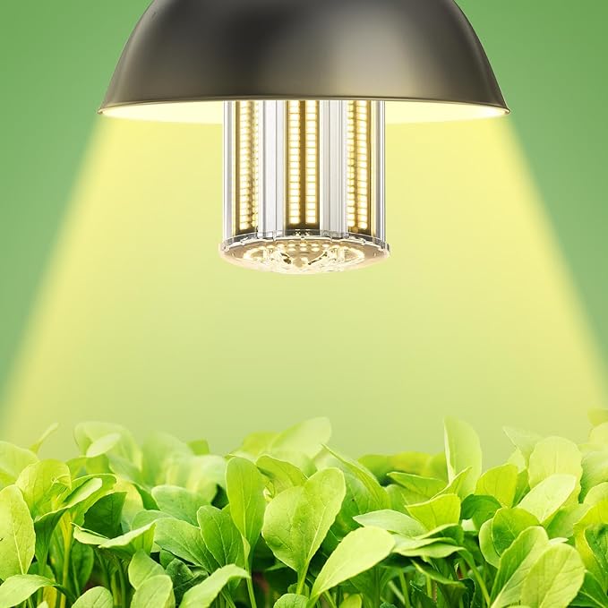DragonLight Upgraded 240W Commercial Grade Corn LED Light Bulb Fanless (1200 Watt MH/HPS Replacement) E39 Mogul Base 4000K 32,400LM - Good for High Bay Area Lighting and Indoor Plants Growing