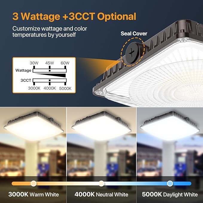 100W LED Canopy Lights Selectable Wattage 100/80/60W 3CCT 3000/4000/5000K, IP65 ETL Listed Commercial Canopy Lights for Gas Station Warehouse Garage Shop, Black, CNL03