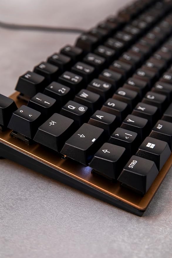 Cherry KC 200 MX Mechanical Office Keyboard with New MX2A switches. Modern Design with Metal Plate Frame. (Bronze W/MX2A Silent Red Switch)