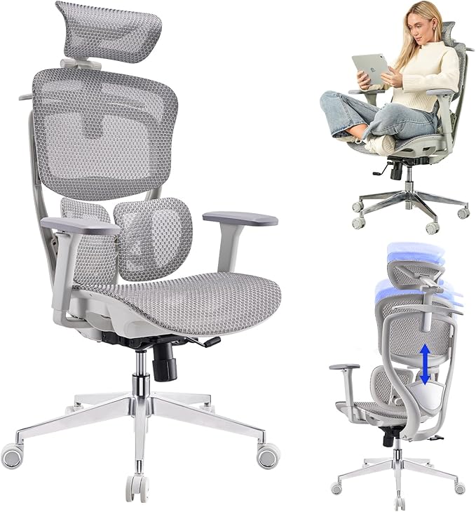 ERGOUP Ergonomic Office Chair - Full Mesh Backrest, 4D Adjustable Headrest, 360° Rotating Armrests, Gray - Premium Support for Professionals, Gamers & Home Office Users