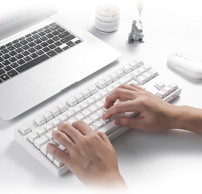 RK ROYAL KLUDGE Sink87G Wired/Wireless TKL Mechanical Gaming Keyboard, No Numbpad Compact 2.4G RGB Wireless Keyboard (White)