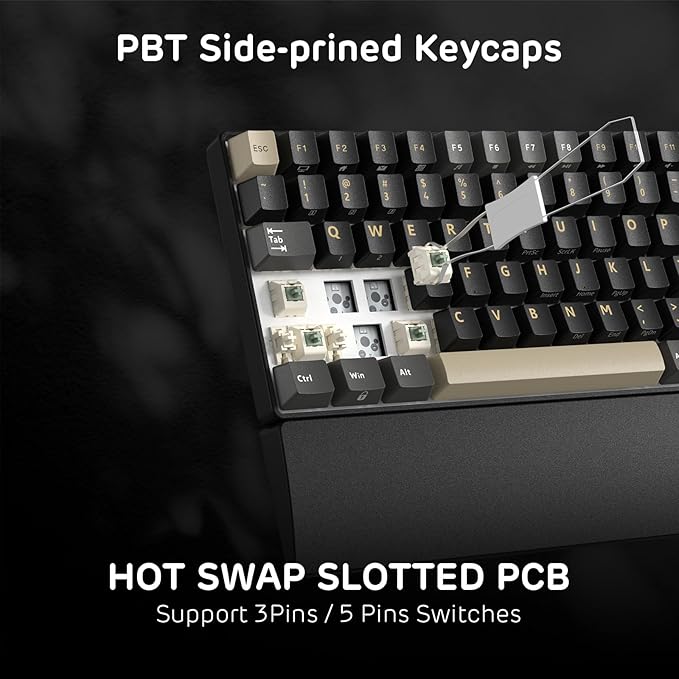 RK ROYAL KLUDGE RK96 RGB Limited Ed, 90% 96 Keys Wireless 3-Mode BT5.0/2.4G/USB-C Hot Swappable Mechanical Keyboard w/Wrist Rest, Volume Control, Software, Massive Battery, RK Viridian Switch