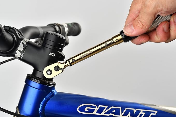 EPAuto Bike Tool 1/4 Inch Drive Click Torque Wrench Set (2 to 20 Nm), Hex/Torx Bit Socket Extension Bar Bicycle Maintenance Kit, Gold