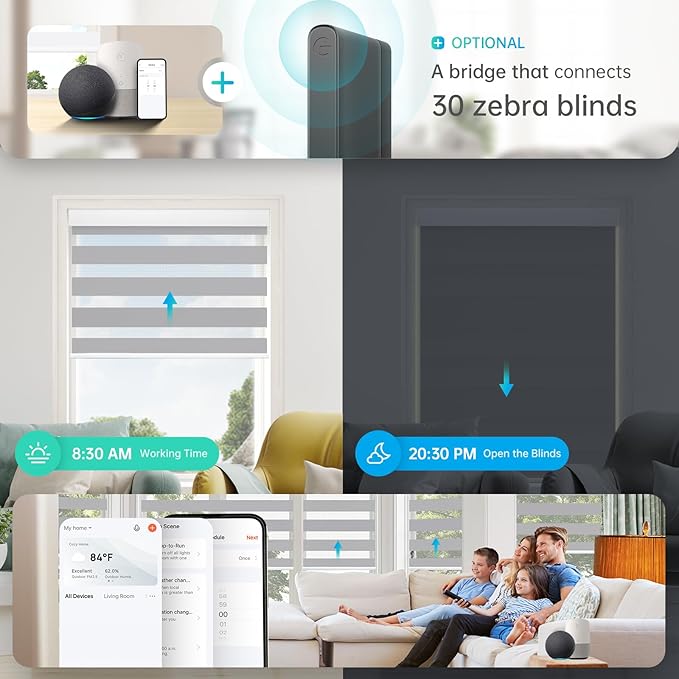 DENFOON Motorized Zebra Blinds, Solar Powered Dual Layer Automatic Shades with Remote Control, Rechargeable Smart Blinds Horizontal Wireless Electric Shades for Windows, Custom Size, Gray， 32 x 72