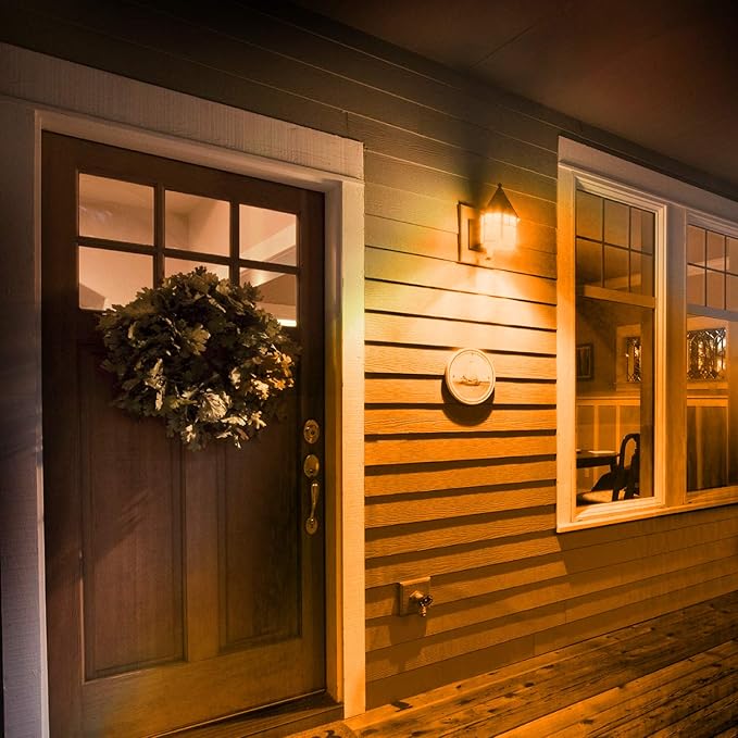 Feit Electric A19/TO/LED/6 25W Equivalent Dimmable Clear Glass Filament Colored LED Light Bulbs, Orange, 6-Pack, 2.4" D x 4" H