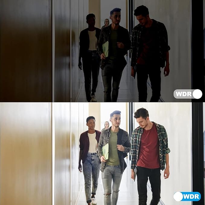 Anpviz 5MP PoE IP Camera Outdoor, Metal Turret Security Camera with Audio, Human Vehicle Detection, Smart Color Night Vision, 3072x1728@20fps, 114° FOV, 120dB WDR, IP67 Waterproof, Black (H Series)