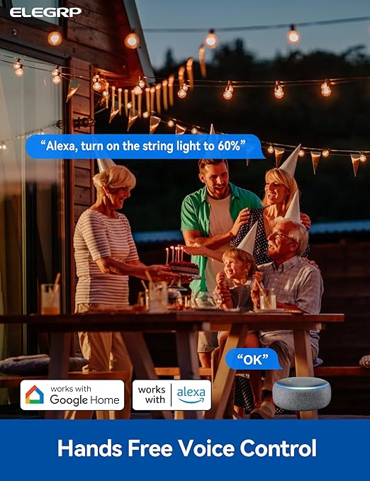 ELEGRP Outdoor Smart Dimmer Plug Waterproof IP66, Smart WiFi Plug with 2 Individually Sockets, Compatible with Alexa & Google Assistant, Outdoor Dimmer for String Lights, UL Listed, 1 Pack, Grey