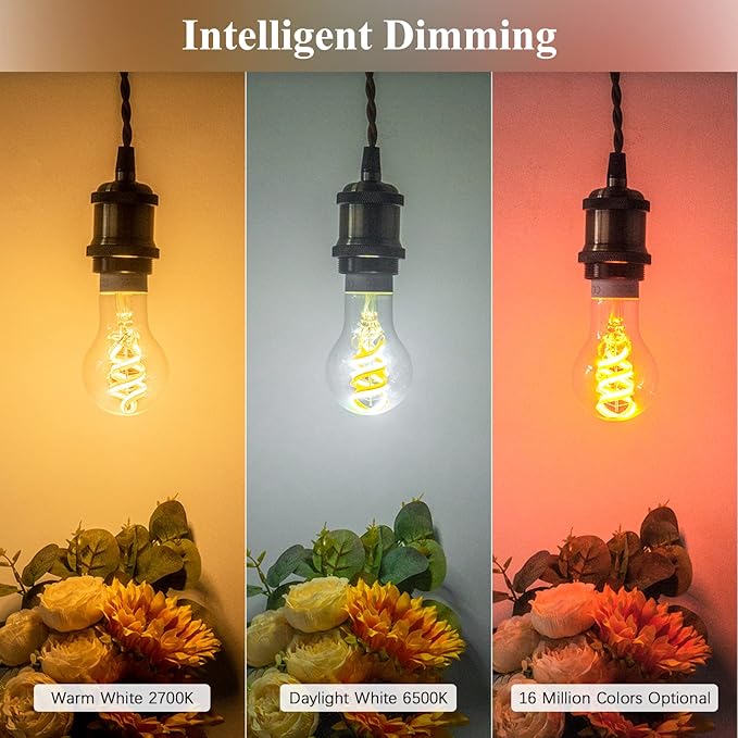 DiCUNO Smart Edison Bulb A19, Color Changing WiFi Smart Light Bulb, Vinatge A60 Filament Bulb Compatible with Alexa & Google, Dimmable with App, 50 Watt Equivalent 450LM, No Hub Required, 2 Pack