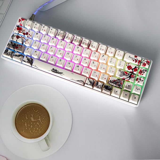 MOLGRIA GK68 68-Key RGB Backlit Gaming Keyboard with Plum Blossom Keycaps, Hot Swappable Red Mechinery Switches, Type C Wired Mechanical Keyboard for Win/Mac OS