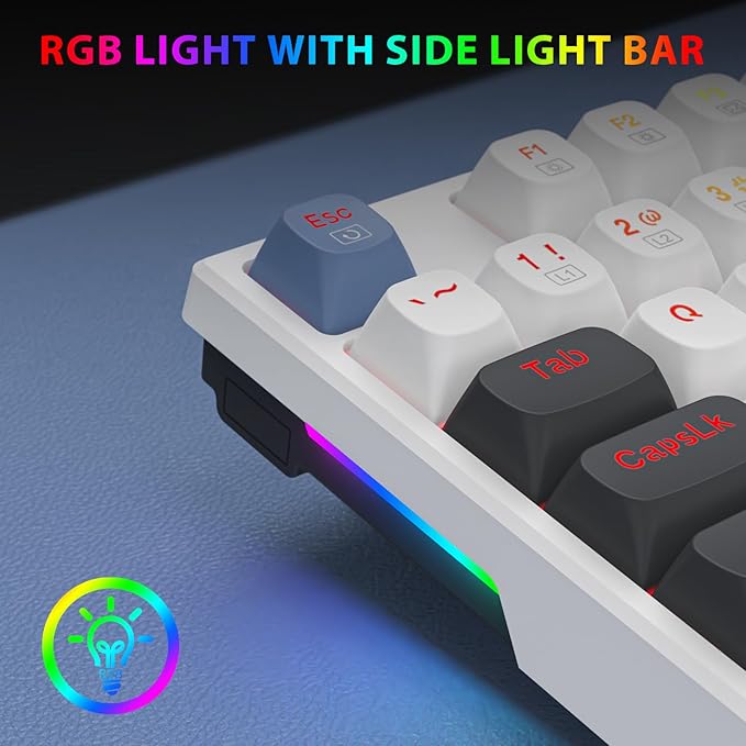 Redragon K668 Wired Gasket RGB Gaming Keyboard, 108 Keys Mechanical Keyboard w/Extra 4 Hotkeys, Upgraded Hot-swappable Socket, Sound Absorbing Foam, Mixed Color Keycaps, Custom Linear Switch