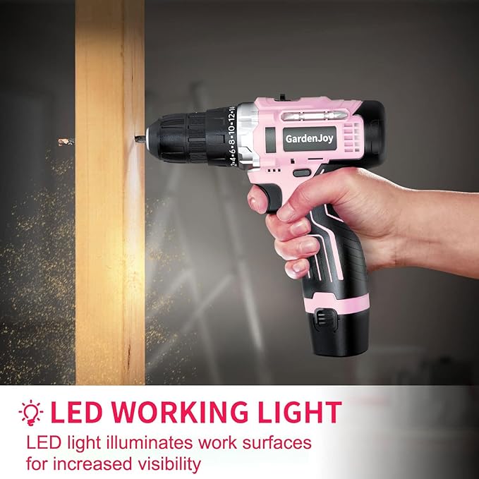 GardenJoy Cordless Power Drill Set: 12V Electric Drill with Battery and Charger, 65pcs Acessories, 3/8"Keyless Chuck, 2 Variable Speed, 24+1 Position, Compact Drill Driver Kit for Home & DIY Project