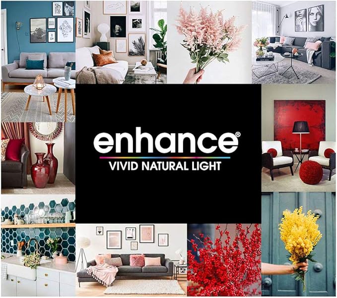 Feit Electric OM60/3DIMCA/LEDI 65W Equivalent IntelliBulb Switch to Dim A19 LED Light Bulb, 2700K Soft White (Pack of 2)