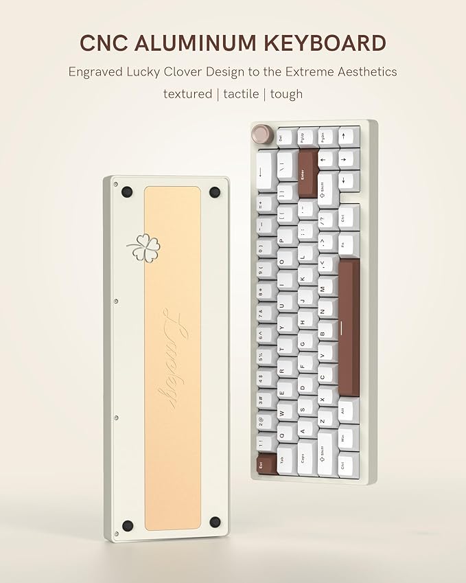 Womier SK65 Wireless Mechanical Gaming Keyboard with Knob, 60 Percent Aluminium Keyboard for PC, Bluetooth 5.0/2.4GHz/USB-C Wired, Hot Swappable Custom Lineaner Switch, RGB Backlit (Creamy White V2)