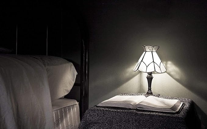 Dimmable LED Tubular Bulb 6W,60W Equivalent 600 Lumens, Antique Edison Style LED Filament Light Bulbs, E26 Clear Edison Bulb Daylight 4000K Pack of 12