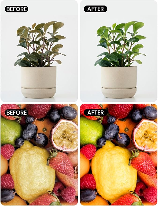 Full Spectrum Light Bulb, LED Light Bulb G45 Small Lightbulbs E26 White 5W Eq 40W Sunlight Night Appliance Bulb for Home, Growing, Plant, Freezer, Lamp (1 Natural White Bulb)