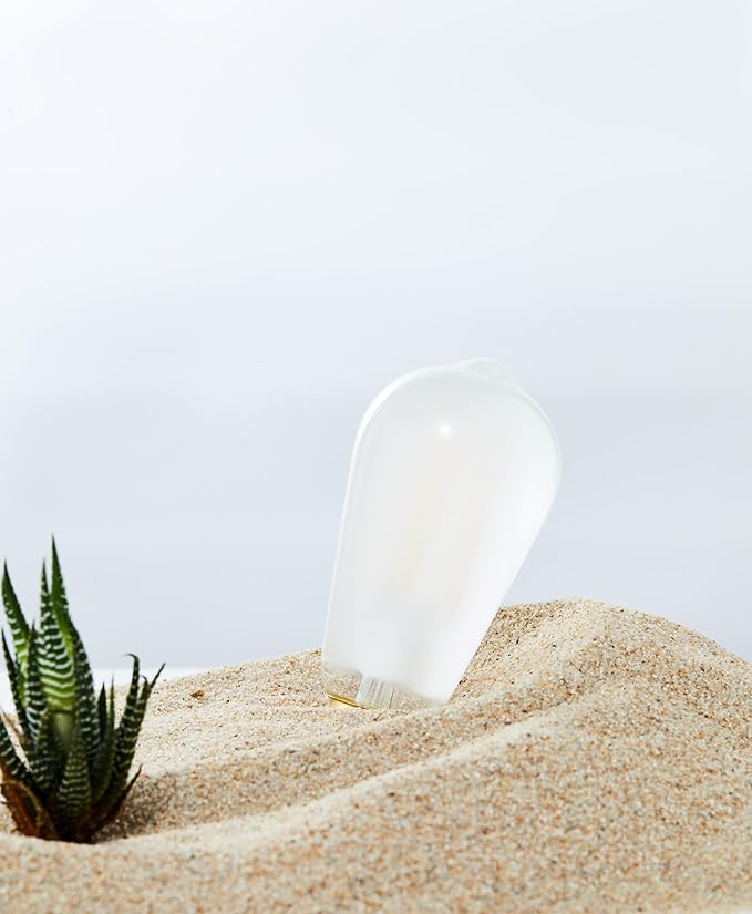 E26 Frosted LED Edison Bulbs, 6W Equivalent 60W,600LM,AC120V, Soft White 3000K,ST58 Dimmable Antique LED Filament Bulbs with 90+ CRI, Pack of 6 (6W=60W Soft White)