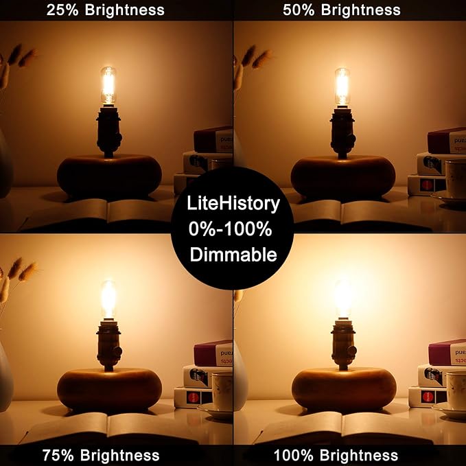 LiteHistory Dimmable T6 led Bulb 25W Candelabra led 2700K Clear 200lm 2W e12 T25 led Bulb 6Pack