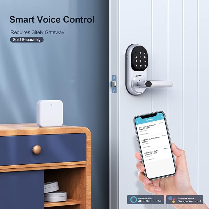 Smart Door Lock with Handle and Keypad: Dermum Keyless Entry Door Lock, Digital Door Keypad for Front Door, Auto Lock, Easy to Install