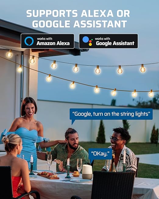 DEWENWILS Outdoor Dimmer for String Lights, Smart Dimmer Plug with Remote, Compatible with Alexa & Google Home, Waterproof, 100FT Range, Remote Dimming for Dimmable LED/Tungsten Bulbs, FCC Certified