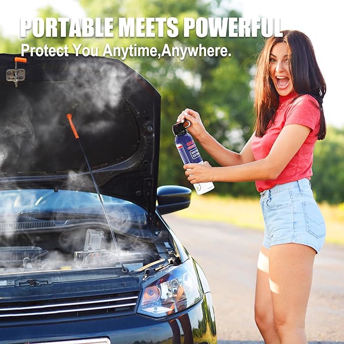 Fire Extinguisher for Home & Vehicle - 600g Fire Extinguisher | Grease & Electrical Fire Extinguisher for Kitchen, Car, Portable (1-Pack)